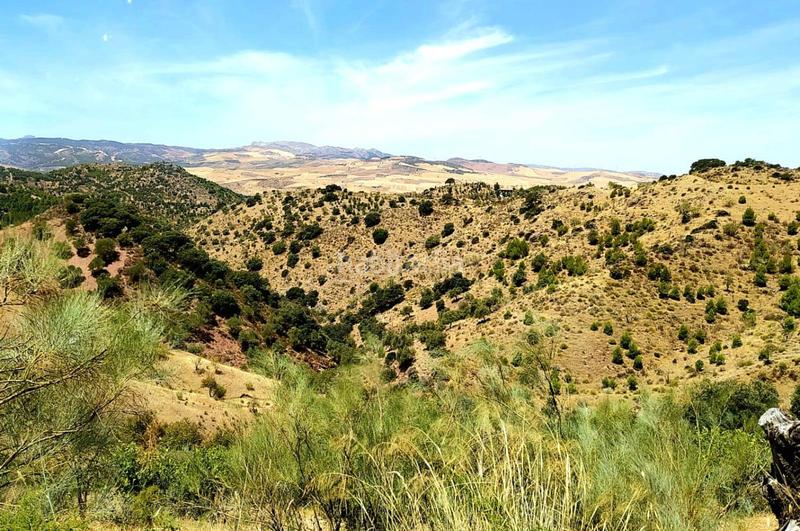 Foto d6162e60-ed14-4fc6-ae16-ee694890be01. Terrain résidentiel dans Ardales