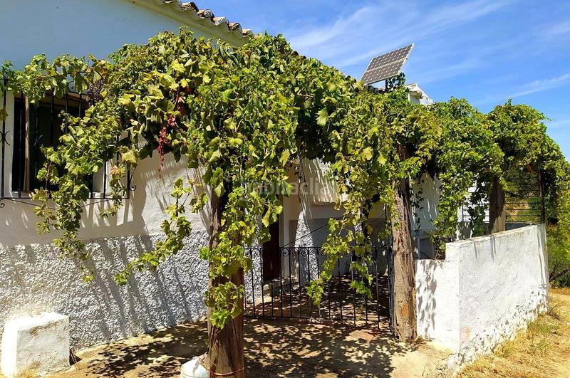 Foto e54877a8-0eea-484d-8835-18c879a8074d. Terrain résidentiel dans Ardales