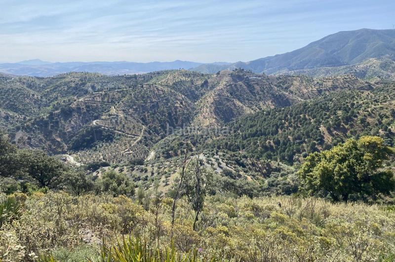 Foto fd756cdc-8d44-4533-b806-5b61f402e011. Terrain résidentiel dans Ardales