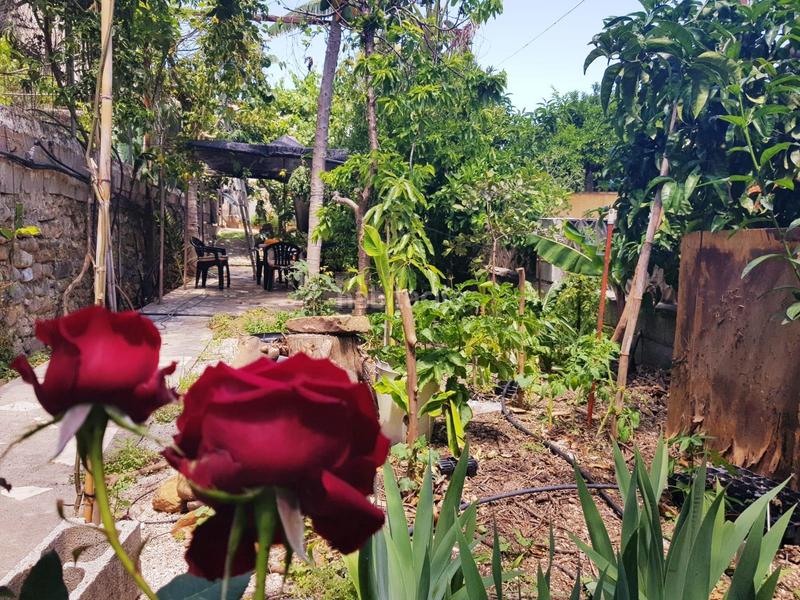 Foto 2d2ab2c8-73cc-42f6-8cfe-1be114bb2619. Edifici a Tolox