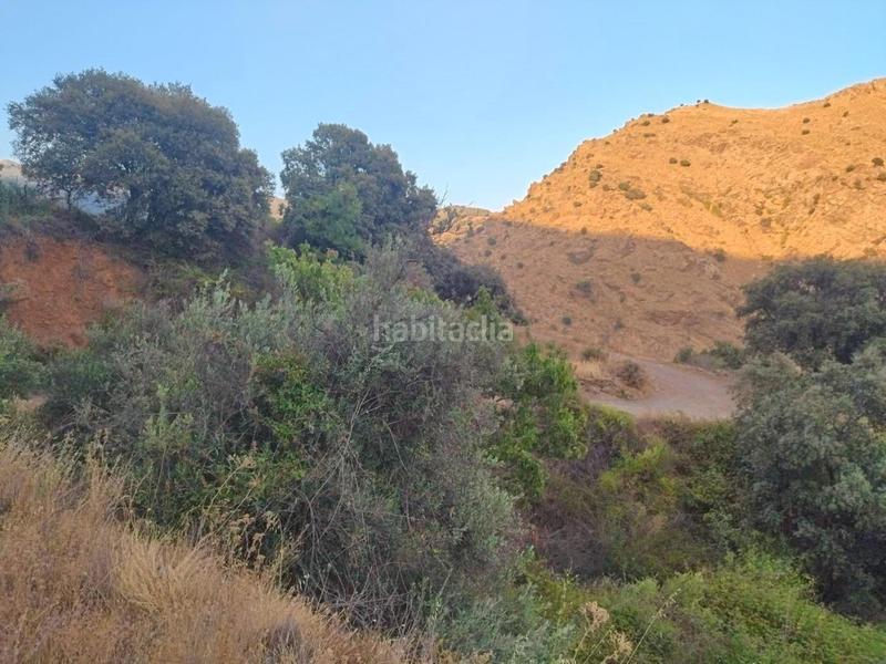 Foto 08bf768e-a435-4de0-8ed9-65000d36dc79. Rural plot in Busquístar