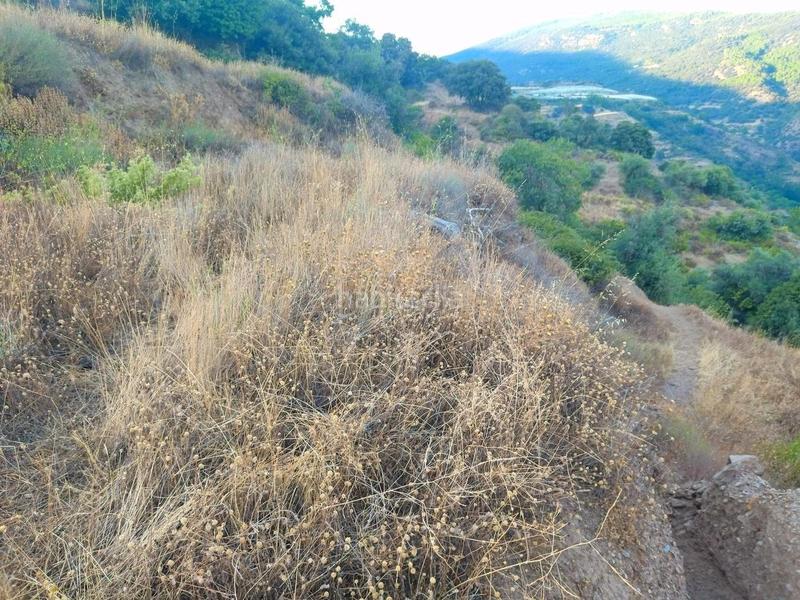 Foto 09fea2c6-4730-4546-944b-e05c95f4d65c. Rural plot in Busquístar