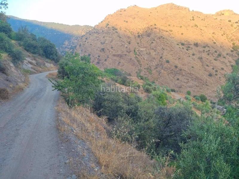 Foto 0a64145e-2661-4cc5-bf3a-390164c17013. Rural plot in Busquístar