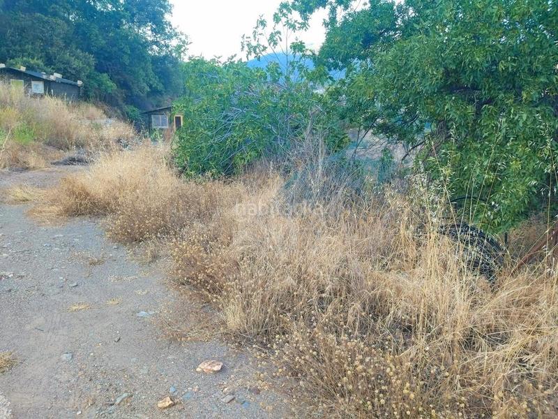 Foto 1191b824-4167-409a-b119-b0dac8348ef4. Rural plot in Busquístar