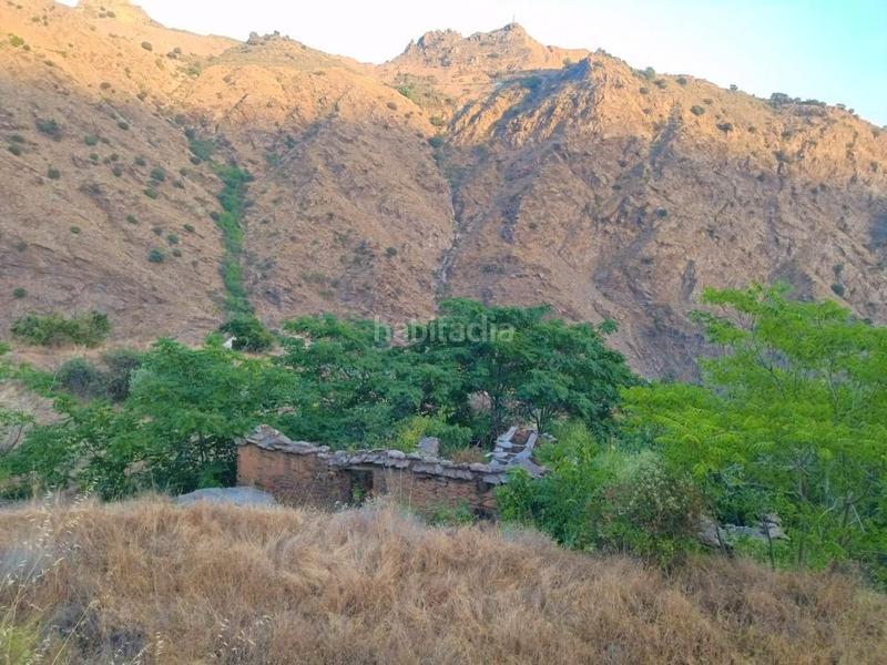 Foto 1cf1a3ee-268c-492d-9372-2d4f4fb17012. Rural plot in Busquístar