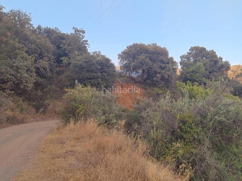 Foto 210bdd64-c918-40de-8c13-4a290034b0f3. Rural plot in Busquístar