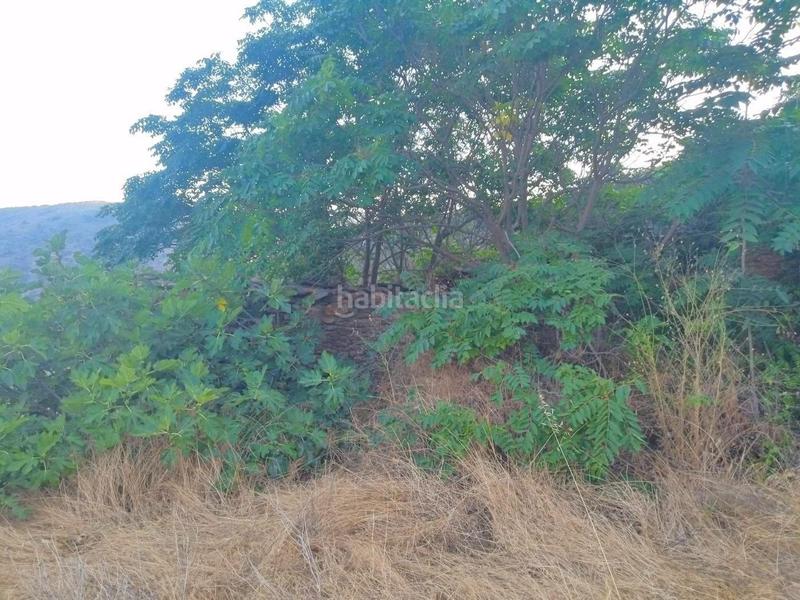 Foto 46e05bcb-6d10-46dc-9fe1-11c8d1933748. Rural plot in Busquístar