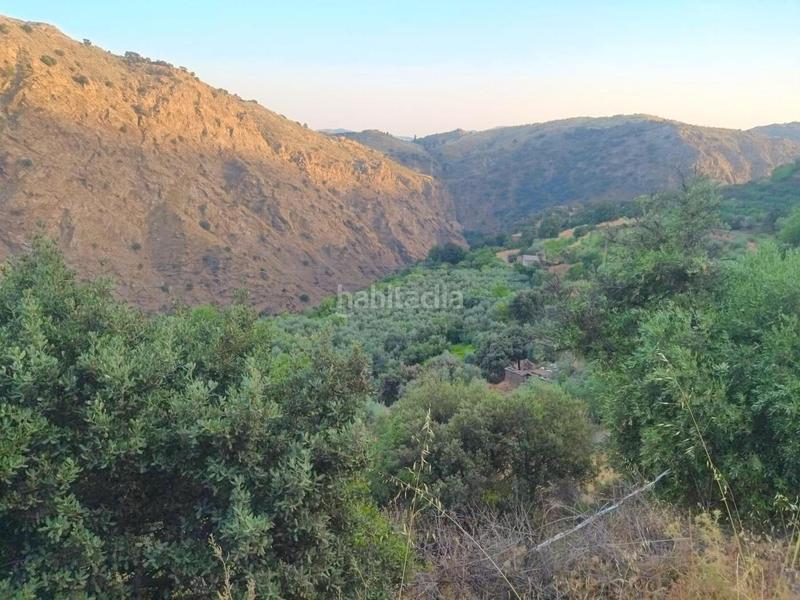 Foto 62f8d1f4-9593-4fbd-8788-d9cdc175e640. Rural plot in Busquístar