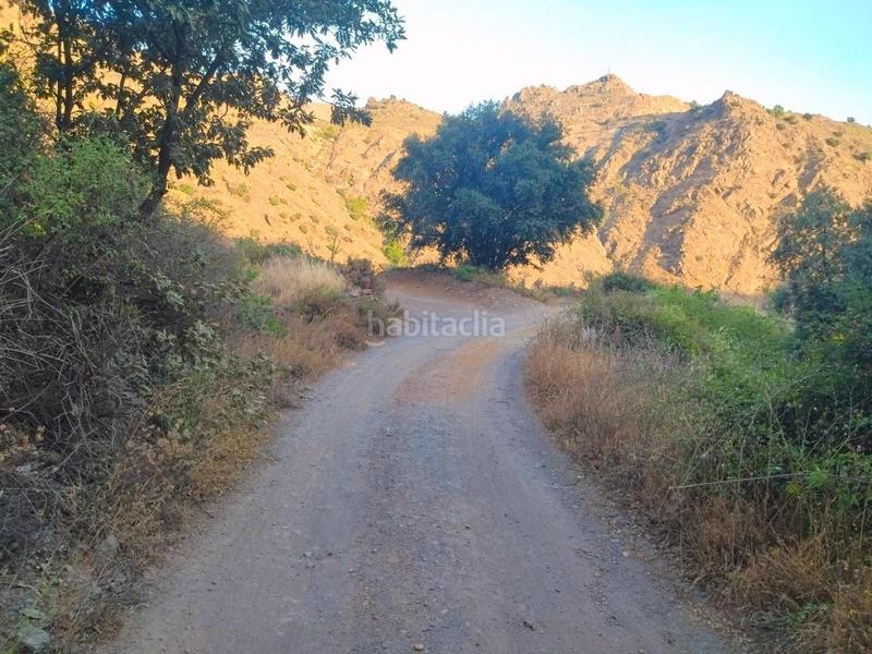 Foto 7437cc32-5ca0-490c-88e9-6e48186237a7. Rural plot in Busquístar