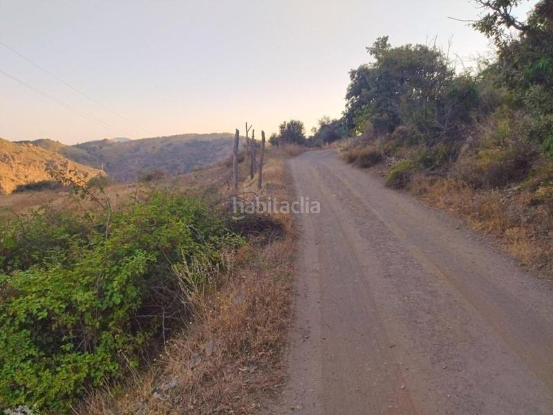 Foto a02d143d-8dd1-45c5-8292-6f86bf518171. Rural plot in Busquístar