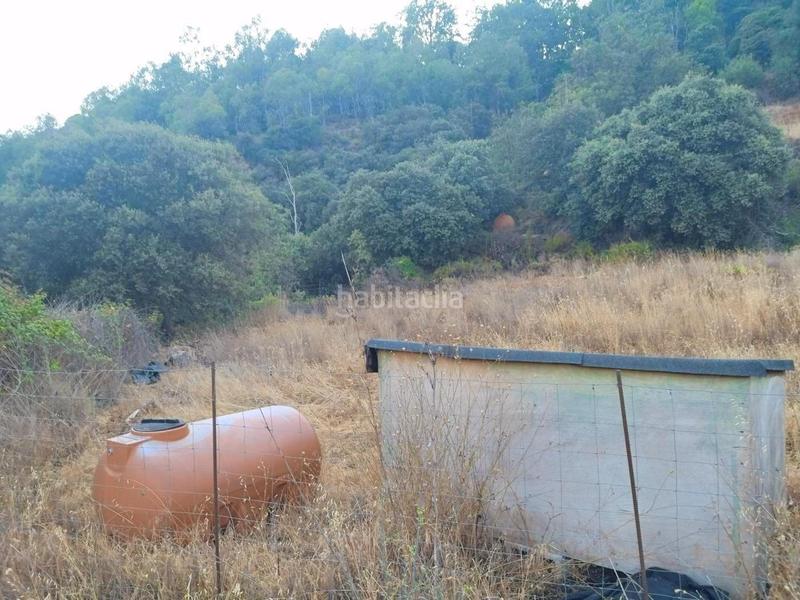 Foto b2bcf7b7-d443-4fe9-98b6-4ef256b4d6e8. Rural plot in Busquístar