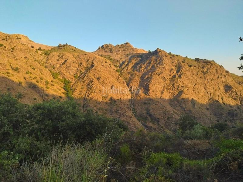 Foto cbd4fc23-f5d1-412f-9b5c-9d942f6df39c. Rural plot in Busquístar