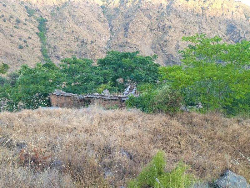 Foto e8dacb9a-2f38-405f-b540-1a9caee5433f. Rural plot in Busquístar