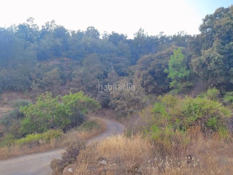 Foto f0bafff2-5c28-420f-a120-63802a414f79. Rural plot in Busquístar