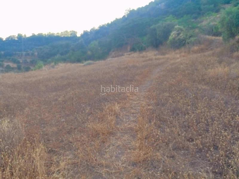 Foto f93d207c-dcf3-47df-b688-584ff645560c. Rural plot in Busquístar