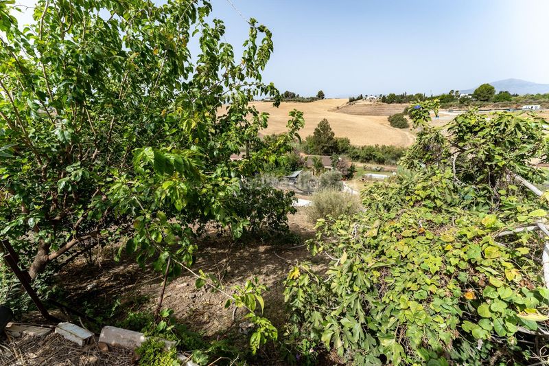 Foto 13752823-9659-483b-b601-a9581e6ce74a. Casa amb aparcament piscina a Casalpalma - Fahala Cártama