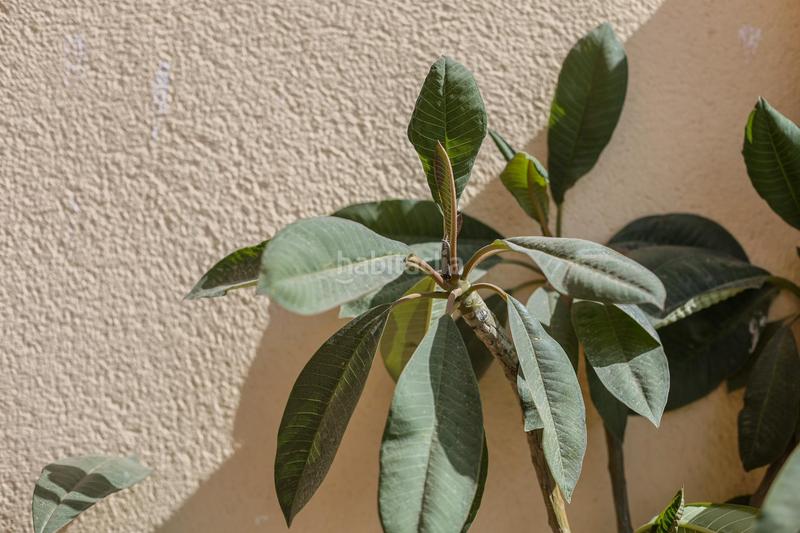 Foto 04e84016-092e-4ea0-8fad-3d1acc40b4eb. Appartement mit parking pool in Martín Carpena - Torre del Río Málaga