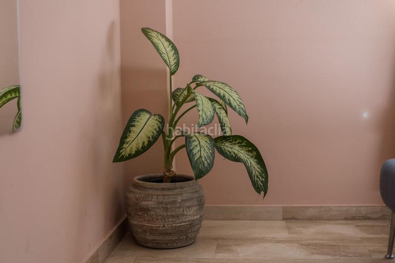 Foto 1a35527f-a31d-4895-b343-8a5fbc225150. Appartement mit parking pool in Martín Carpena - Torre del Río Málaga