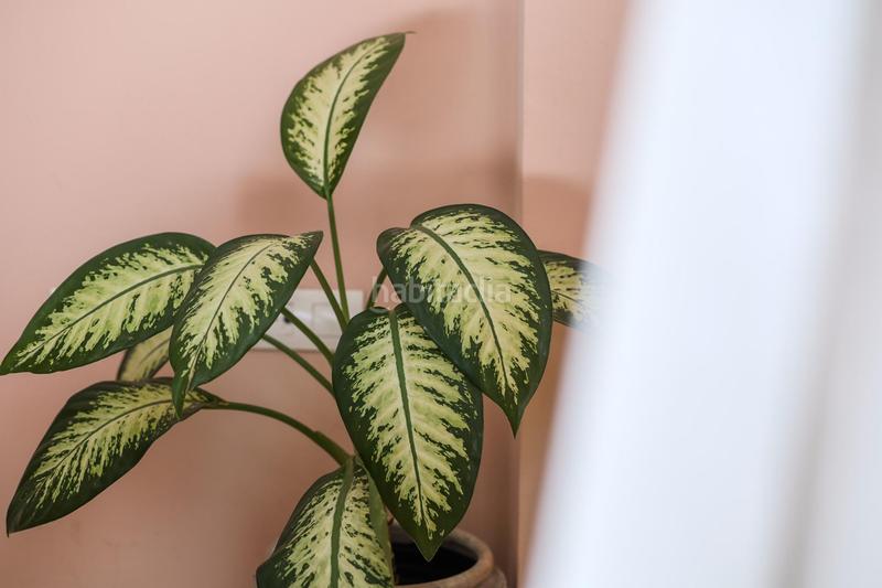 Foto 37b10b08-e731-4350-a77c-79c35948a6a8. Appartement mit parking pool in Martín Carpena - Torre del Río Málaga