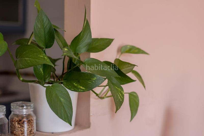 Foto 7079f1a9-2603-46a8-9b53-11af74f50fcb. Appartement mit parking pool in Martín Carpena - Torre del Río Málaga