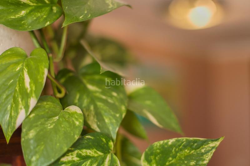 Foto b15c6845-6d6d-462a-84e7-ad7718b65c95. Appartement mit parking pool in Martín Carpena - Torre del Río Málaga