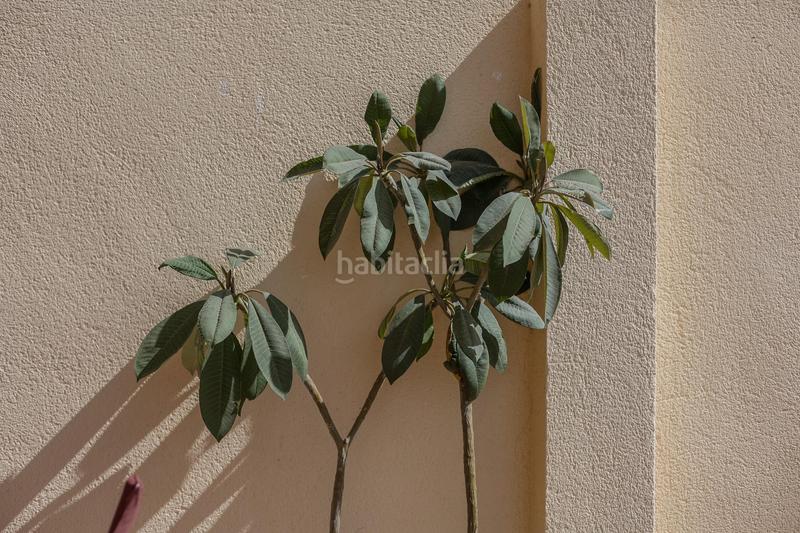 Foto f40b6121-bb46-4161-8e0d-18437f130196. Appartement mit parking pool in Martín Carpena - Torre del Río Málaga