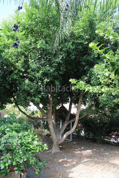 Foto 876e608c-5d69-4bf8-95be-47246bc4b2b6. Xalet a calle minerva a Coín