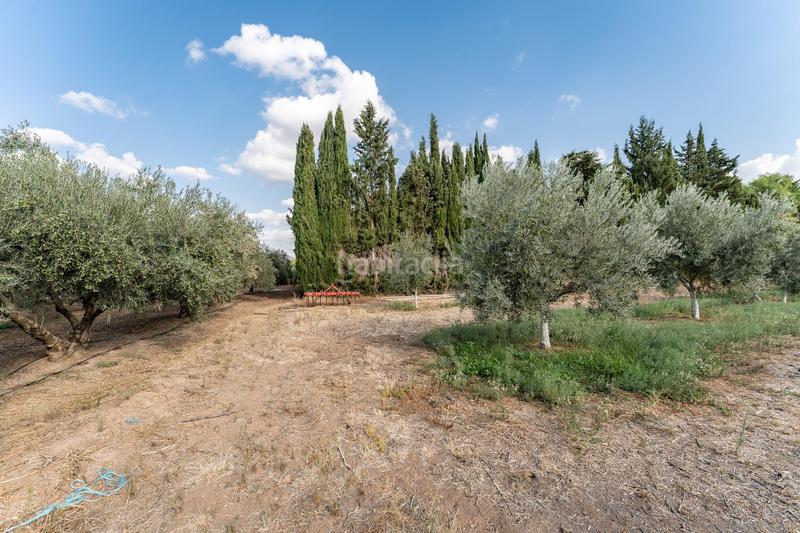 Foto c67ae5fe-8d29-46bc-b76f-25b7886330c7. Chalet dans polígono poligono 222 57 dans Zona de la Vega Antequera