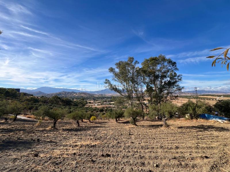 Foto 6c6735ad-1be0-4505-ba6e-42740dbc7622. Casa con piscina in Coín