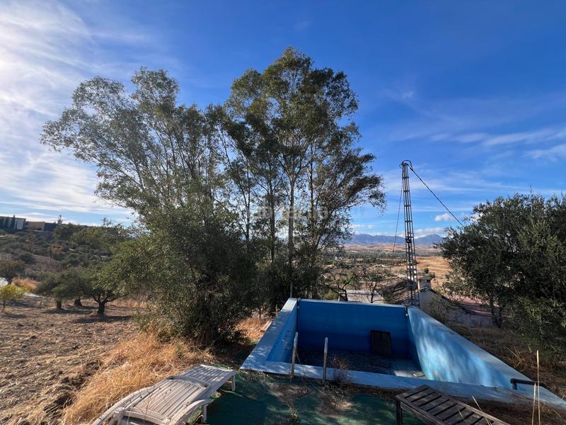 Foto 97c1dd92-20ee-4010-8fc7-b1f3f6f28ba9. Casa con piscina in Coín