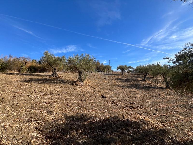 Foto ed5718fe-9621-41db-8800-93e3323cf66e. Casa con piscina in Coín