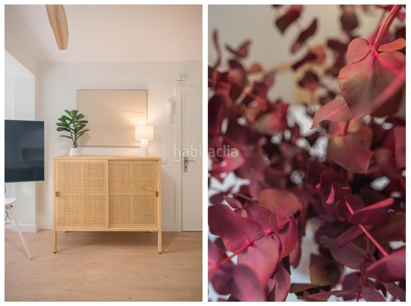 Foto f438e2db-fade-431f-9e50-fd7385377af6. Location appartement dans La Trinidad Málaga