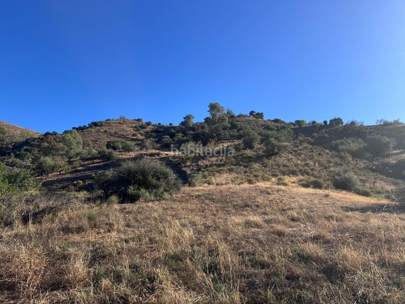 Foto d83c6e58-600c-41f9-9ea7-cff2665c7cbb. Terreny residencial a Riogordo