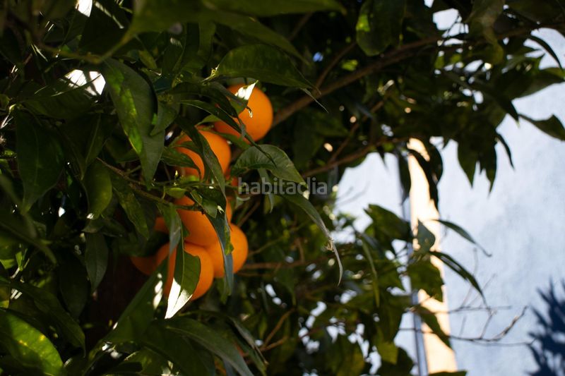 Foto 824a2059-7eaf-430d-bd0a-57bea29b0fb4. Masia amb aparcament a Árchez