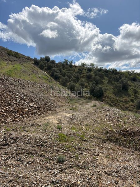 Foto c69e5675-eec1-44fe-a026-cb75d0656f21. Finca rústica a Canillas de Aceituno