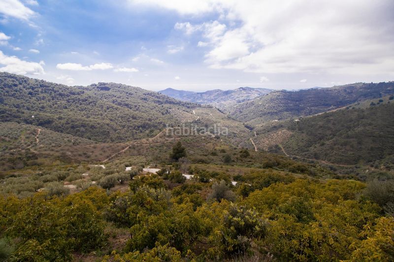 Foto a14cc1f7-c907-4f5b-9d33-f7675992f328. Casa a Canillas de Albaida