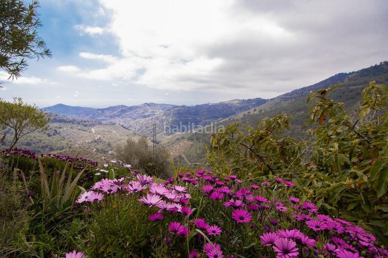Foto ad69ac08-3ea1-429d-96d7-5b6d608811dd. Casa a Canillas de Albaida