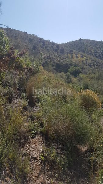 Foto 3634866c-c1aa-4306-bc7a-07e27adebe8c. Finca rústica a los rueda a Camino Viejo de Málaga Vélez - Málaga