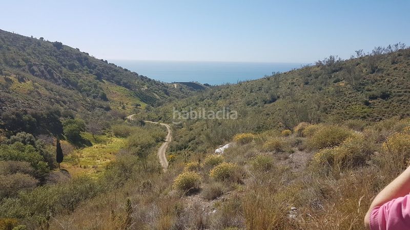 Foto 775d3299-db29-42ce-8b82-e77ee9edc308. Finca rústica a los rueda a Camino Viejo de Málaga Vélez - Málaga