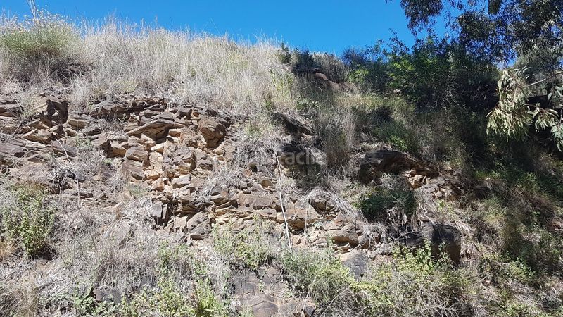 Foto ac4ae35e-15dc-4ebd-aaae-57758d2b0bde. Finca rústica a los rueda a Camino Viejo de Málaga Vélez - Málaga