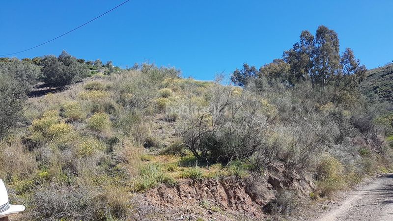 Foto b04adf28-da39-4aac-b27d-fa9f973da398. Finca rústica a los rueda a Camino Viejo de Málaga Vélez - Málaga