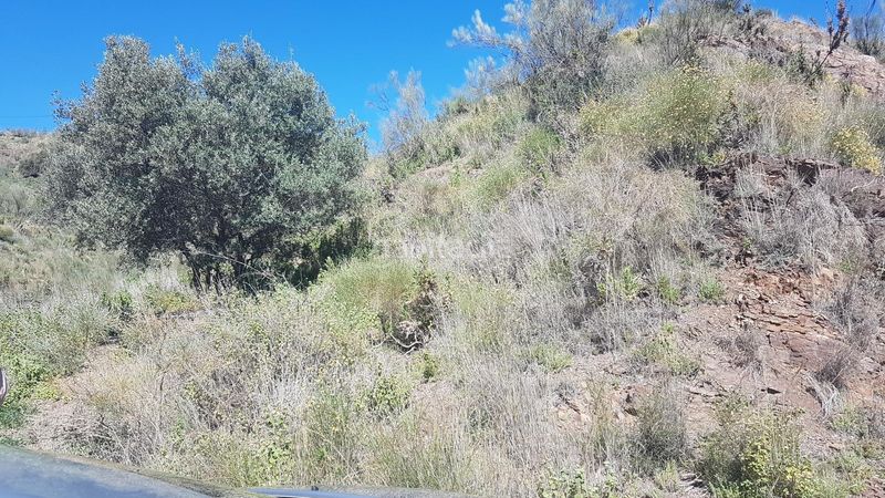 Foto ba3863af-e4a6-4848-84c3-1606ce50c5cc. Finca rústica a los rueda a Camino Viejo de Málaga Vélez - Málaga