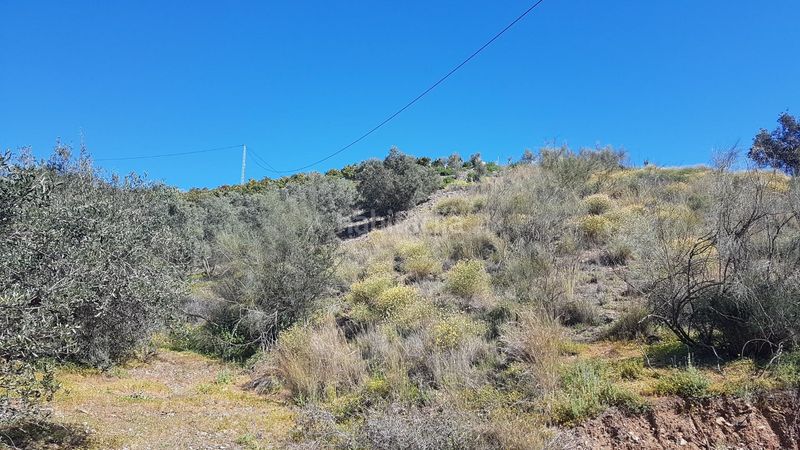 Foto e1851102-9734-4486-8239-d8cc6213dece. Finca rústica a los rueda a Camino Viejo de Málaga Vélez - Málaga