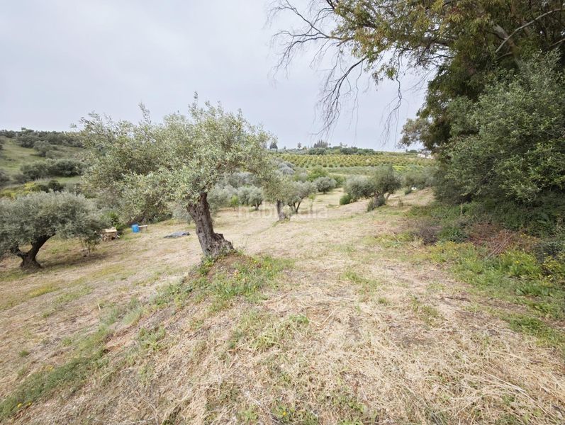 Foto 253b78d8-1c20-4999-99ad-9e16515e1970. Casa amb aparcament piscina a Cártama pueblo Cártama