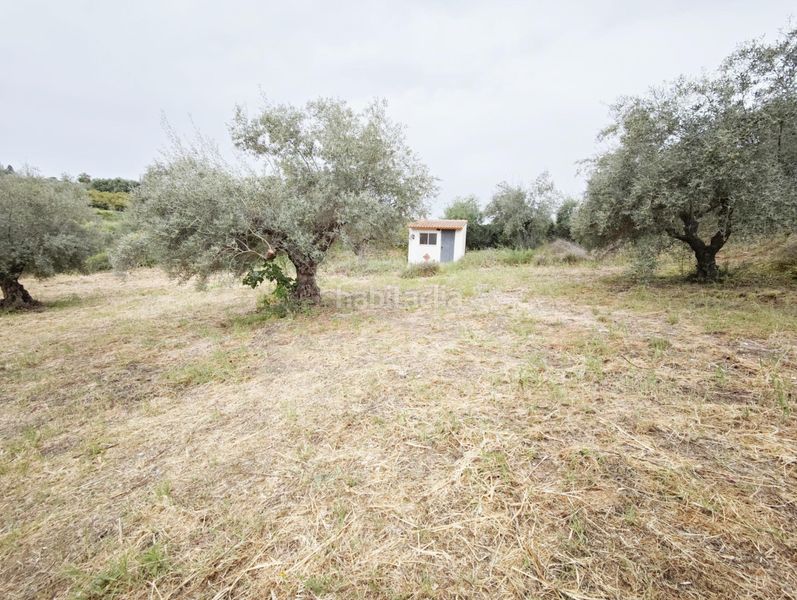 Foto 950905f2-6cee-4fd9-9588-1765c4ed5fc1. Casa amb aparcament piscina a Cártama pueblo Cártama