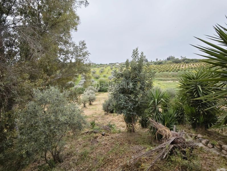 Foto d4542392-2264-4c77-be35-74bd2e2ef61f. Casa amb aparcament piscina a Cártama pueblo Cártama