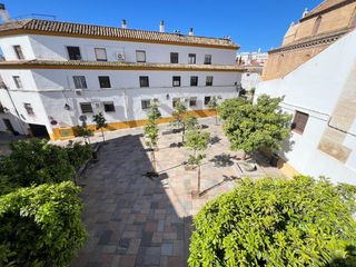 House  Plaza santa marina. Gran casa con garaje y local en plaza santa marina