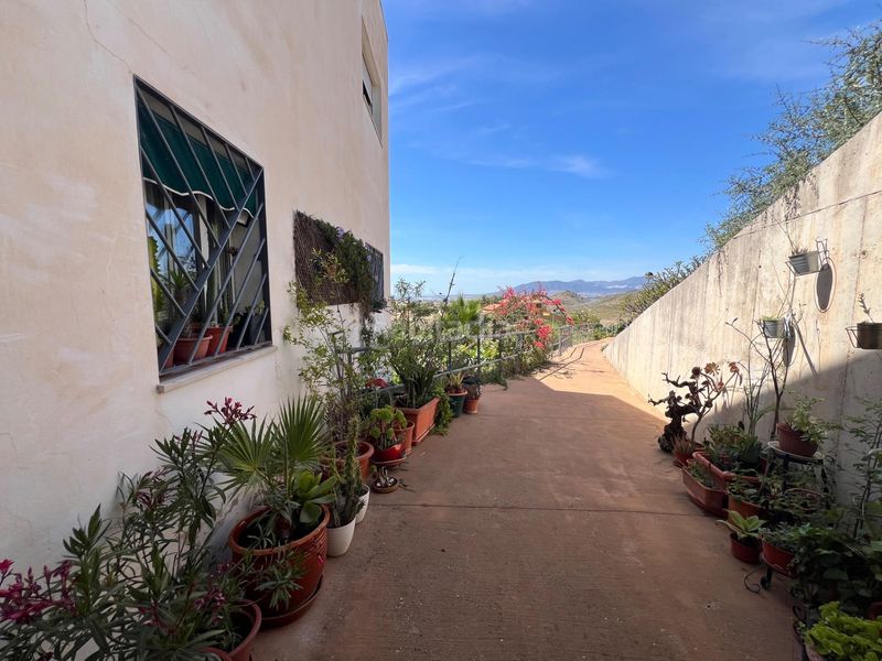 Foto 7d560602-41db-4377-802e-f7c2c30bc807. Apartament a calle calle lagarillo 25 a El Cortijuelo Málaga