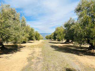 Rural plot  Vía