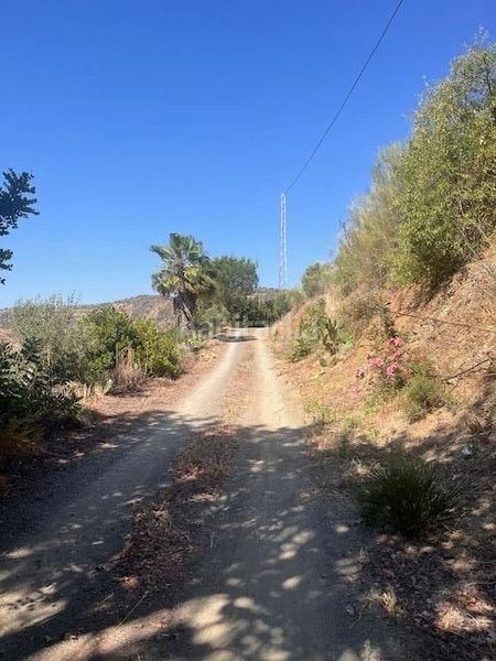 Foto 3c8cf42e-860d-4d43-8322-d88c3e336124. Finca rústica a calle gibralmora 10 a Pizarra